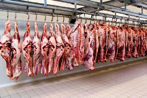 نرخ گوشت گوسفندی کمی کاهش یافت