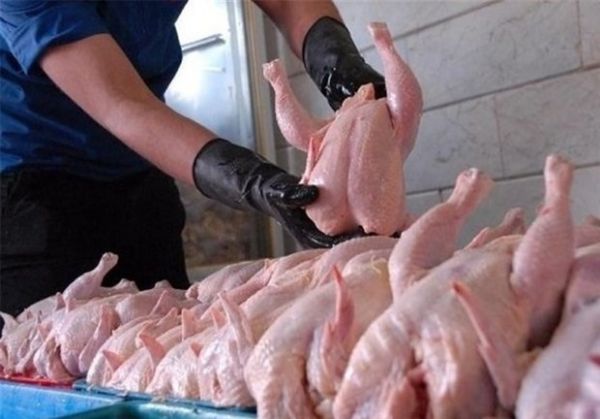 زمینه سازی یک مسئول برای گرانشدن مرغ