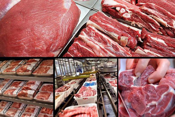 قیمت گوشت قرمز ارزان می شود