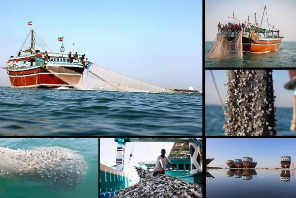 «ترال» تیری بر پیکر نیمهجان دریا