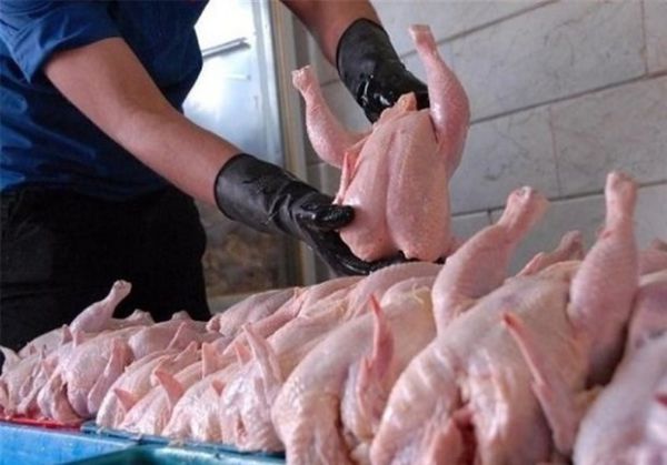 قیمت مرغ به کانال ۱۶ هزار تومانی رسید