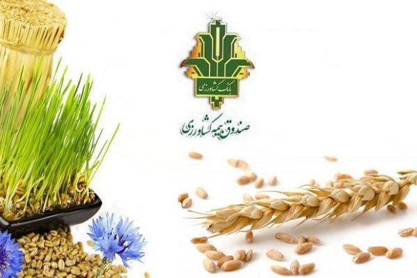 ۶۵ میلیارد و ۴۱۳ میلیون غرامت به کشاورزان سیل زده پرداخت شد