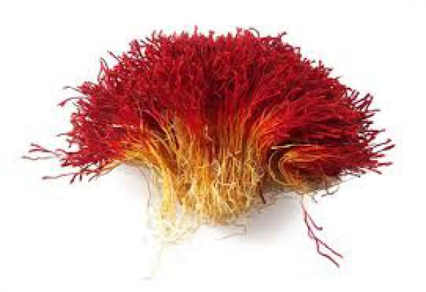 سحرخیز 86 سالگی‌اش را جشن گرفت