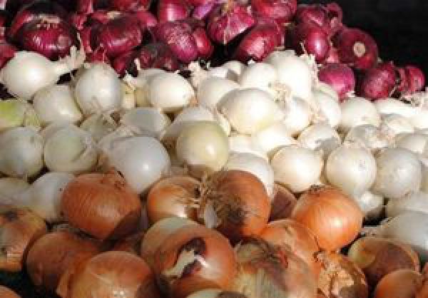 پیاز 3500 تومان شد