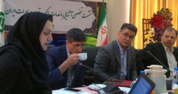 راهکارهای تامین ارز مورد نیاز تولید