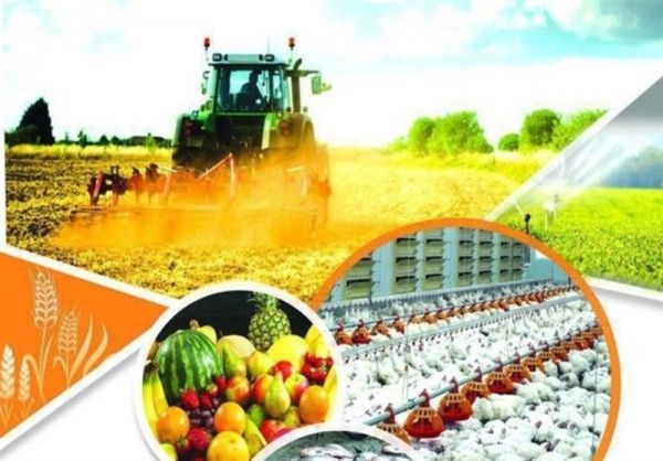 تشکل های جدید کشاورزی ایجاد می شود