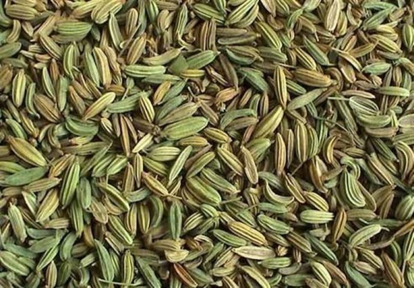 زیره هم‌پای زعفران