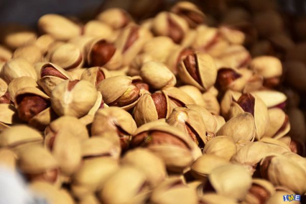 پیشنهاد عرضه فرش پس از پسته در بورس کالا