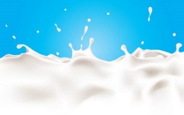 انتشار صورت های مالی 6 ماهه