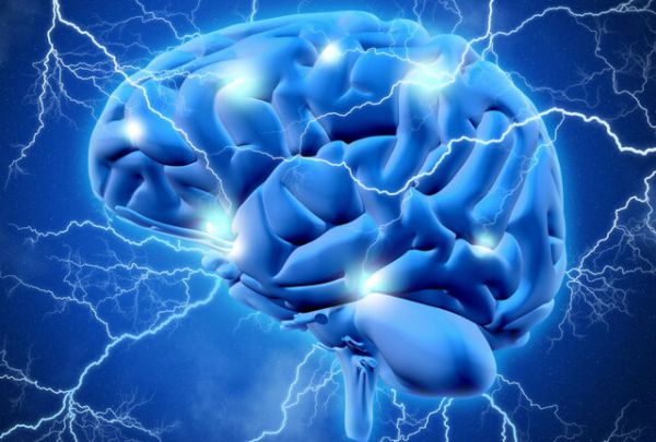 چگونگی فرآیند یادگیری توسط مغز