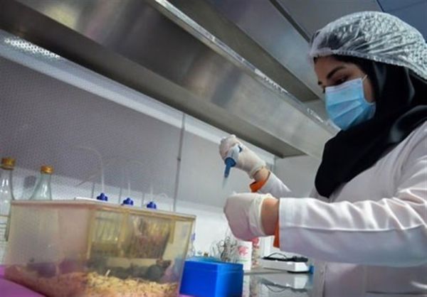 استفاده از حیوانات در آموزش‌های دانشگاهی ممنوع شد