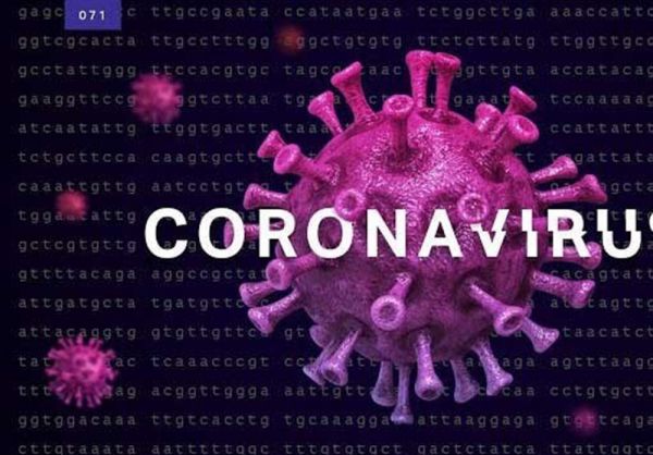 فرمول خوراکی برای تقویت سیستم ایمنی