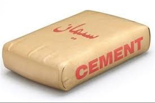 افزایش 135 درصدی سود «سقاین»