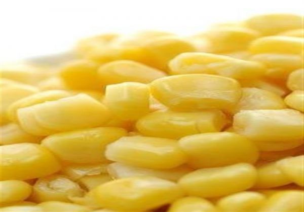 افشاگری وزارت جهاد کشاورزی از پشت پرده افزایش قیمت ذرت + سند