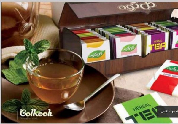 اشتغالزایی با گیاهان دارویی