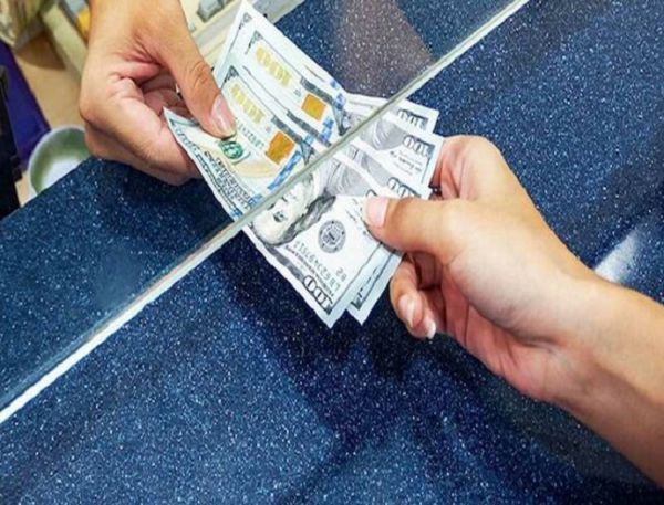ثبات قیمت دلار در صرافیهای بانکی