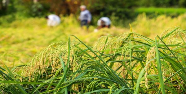 بارش‌های اخیر تاثیری در جبران کمبود بارش‌های فصلی ندارد