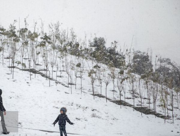 کاهش دما تا ۱۲ درجه در اواخر هفته