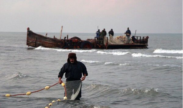 صید ۳۰ هزار تن ماهیان صنعتی در آب های دور