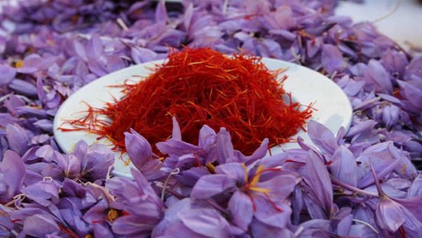قیمت زعفران ۳۰ درصد از نرخ واقعی کمتر است