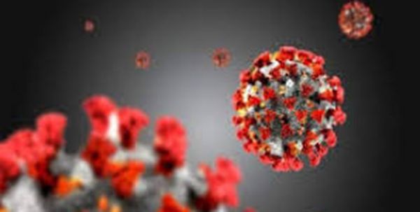 نیچر: احتمال ابتلای مجدد افراد مبتلا به کرونای خفیف بسیار کم است