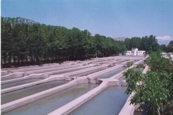 کانون هماهنگی دانش، صنعت و بازار آبزیان ایجاد شد