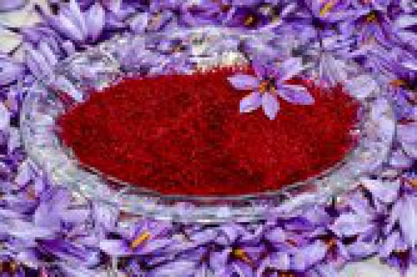 اسپانیا مجبور به خرید زعفران از ایران شد