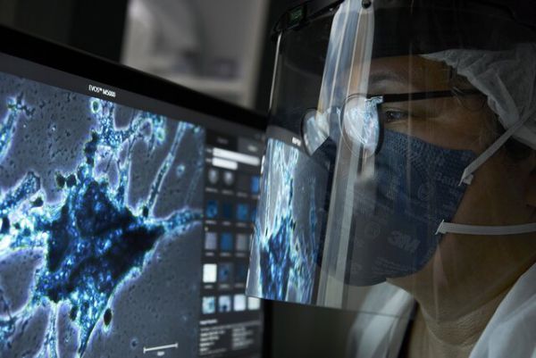 کاوش درباره بیماری‌های خطرناک جهان