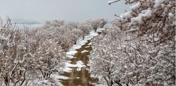 ورود سامانه بارشی جدید به کشور طی فردا