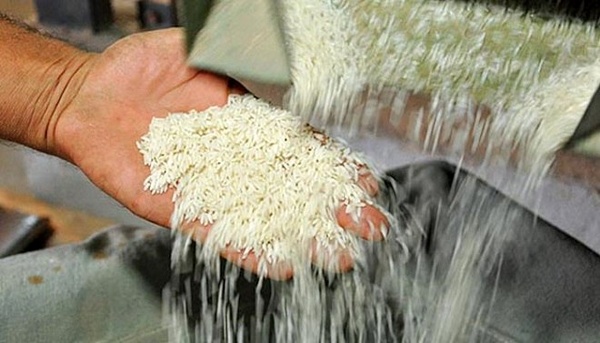 مالیات بر ارزش افزوده واردات را مصرفکننده میپردازد