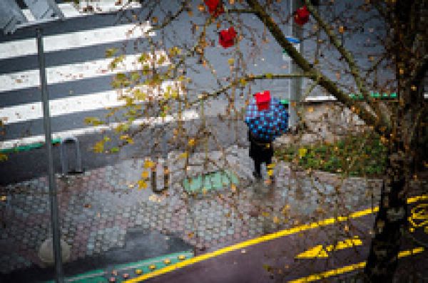 کاهش دمای ۷ تا ۹ درجه در انتظار نوار شمالی کشور