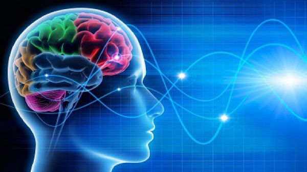 راهکارهایی ساده برای افزایش تمرکز ذهنی