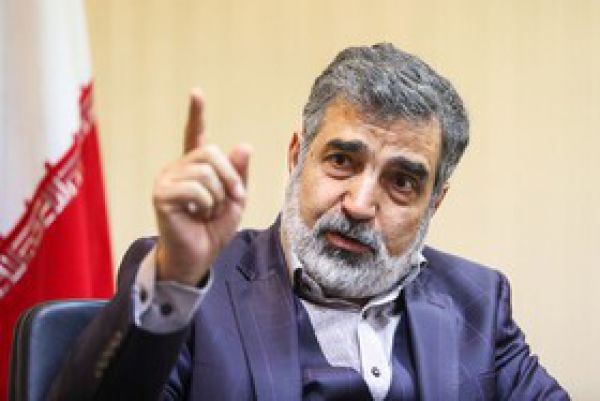 کمالوندی: ساخت نیروگاه هستهای کار فانتزی نیست؛ ضرورت کشور است