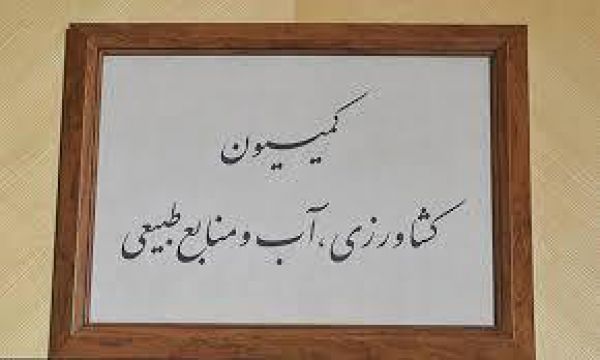 کمیسیون کشاورزی مجلس واردات گوشت به ایران را بررسی میکند
