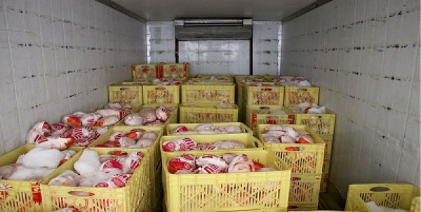 توزیع روزانه ۸ هزار تن مرغ در کشور