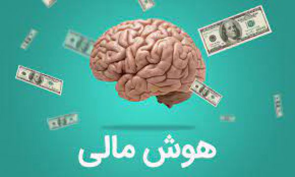 هوش مالی چیست؟